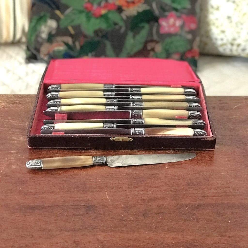 Coffret ménagère de 12 couteaux manche en corne, détails en métal argenté par Hello Broc brocante en ligne
