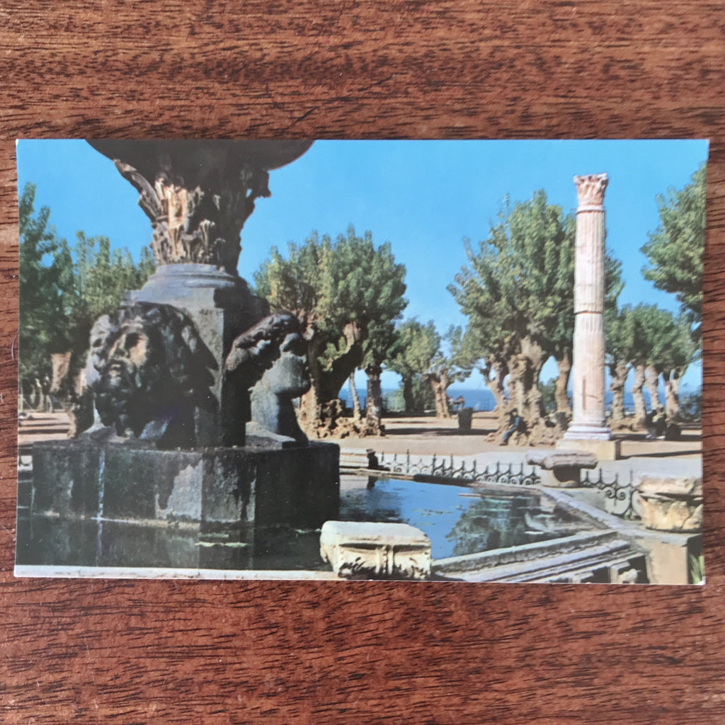 Lot de 3 cartes postales anciennes colorisées souvenirs de Cherchell en Algérie par Hello Broc brocante en ligne