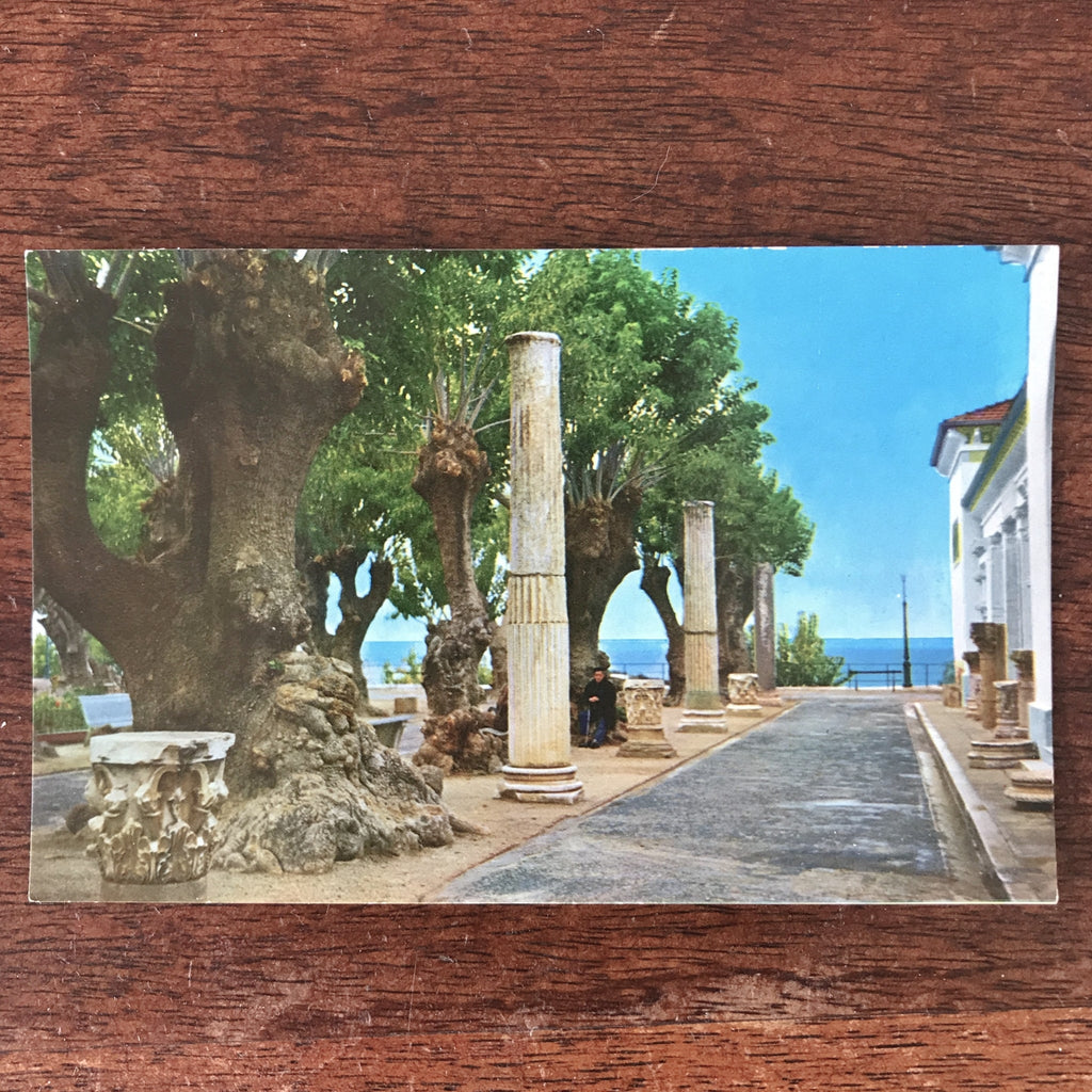 Lot de 3 cartes postales anciennes colorisées souvenirs de Cherchell en Algérie par Hello Broc brocante en ligne