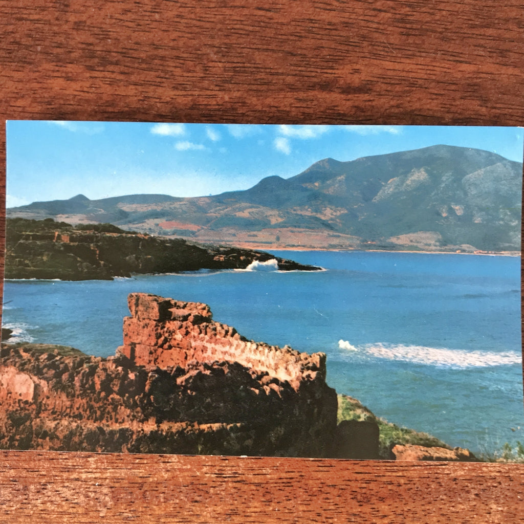 Lot de 4 cartes postales vintage et colorisées anciennes ou CPA de Tipasa ou Tipaza en Algérie par Hello Broc brocante en ligne
