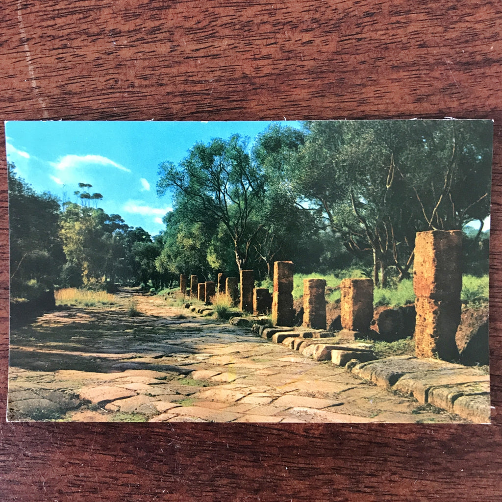 Lot de 4 cartes postales vintage et colorisées anciennes ou CPA de Tipasa ou Tipaza en Algérie par Hello Broc brocante en ligne