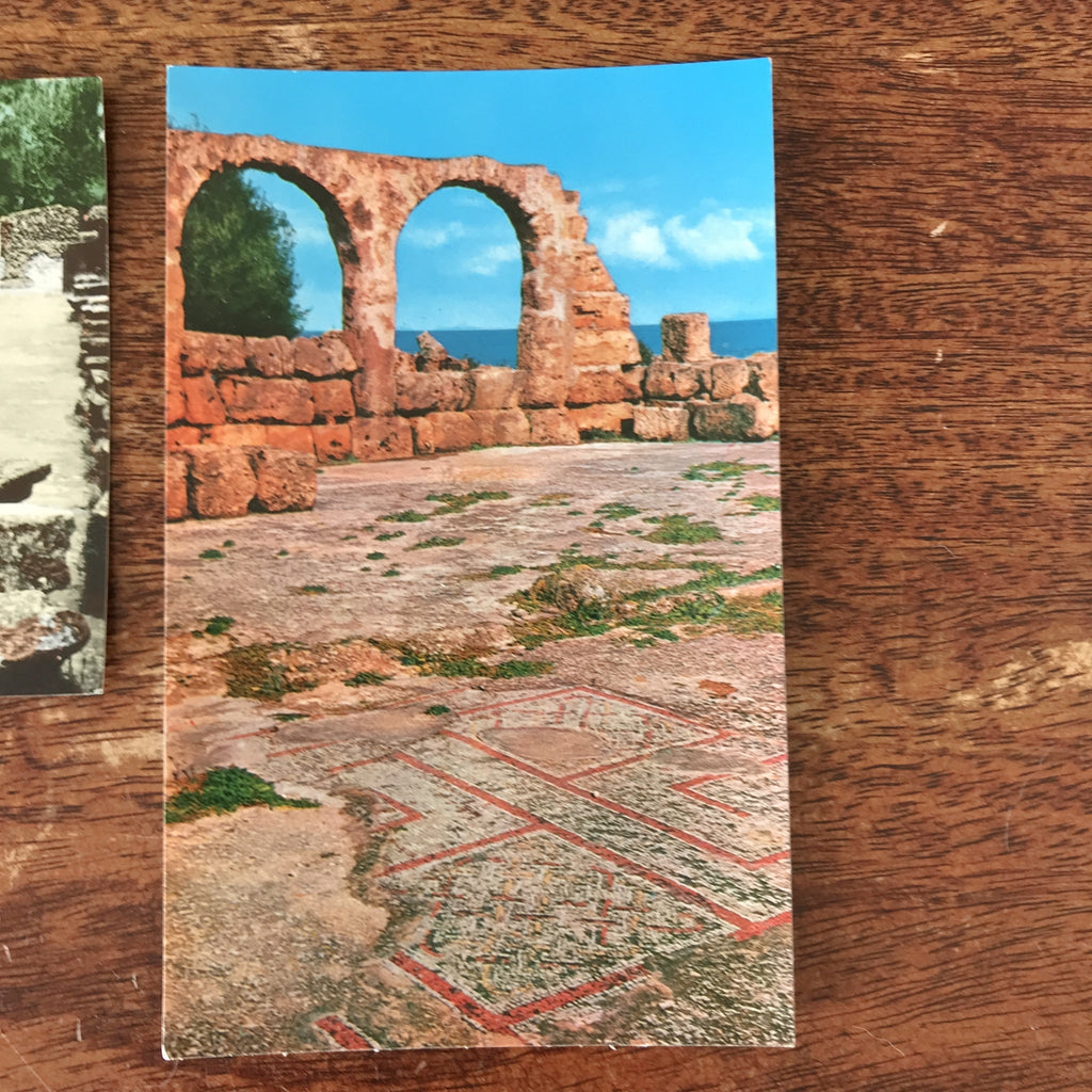 Lot de 4 cartes postales vintage et colorisées anciennes ou CPA de Tipasa ou Tipaza en Algérie par Hello Broc brocante en ligne
