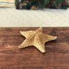 Grande étoile de mer à 5 branches par Hello Broc brocante en ligne