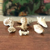 Ensemble de 6 petits coquillages et d'un corail par Hello Broc brocante en ligne