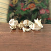 Ensemble de 6 petits coquillages et d'un corail par Hello Broc brocante en ligne