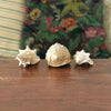 Ensemble de 3 coquillages souvenirs de vacances par Hello Broc brocante en ligne