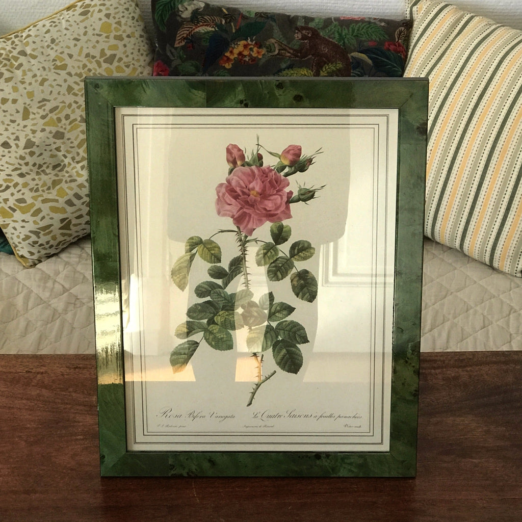 Impression tirée d'une lithographie de Redouté Rosa Bifora Variegata par Hello Broc brocante en ligne