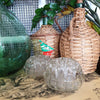 Pique-fleur rond en verre moulé transparent 19 trous et 12 mini - Hello Broc
