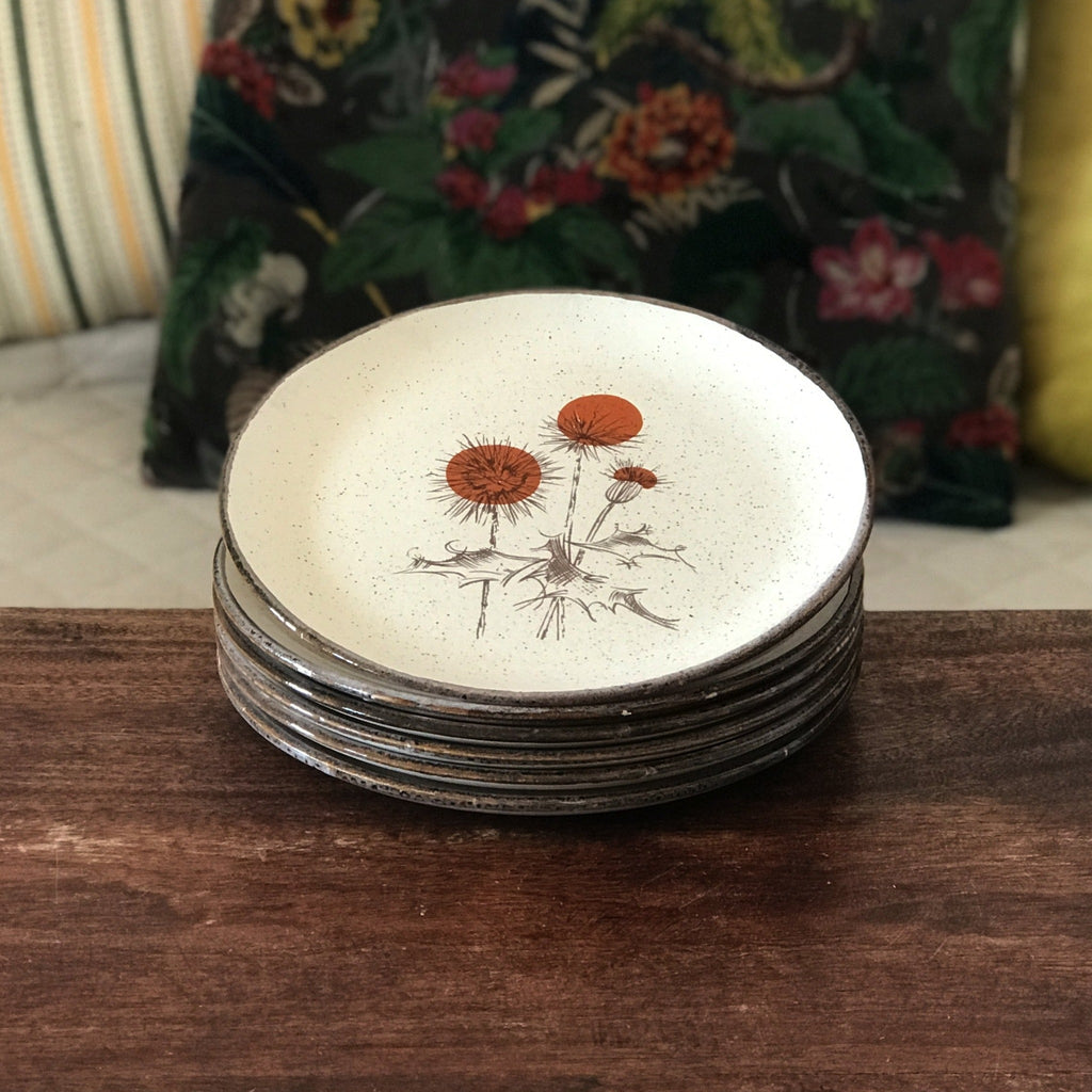 Lot de 6 assiettes à dessert ADP mouchetées décor chardon années 70 par Hello Broc brocante en ligne