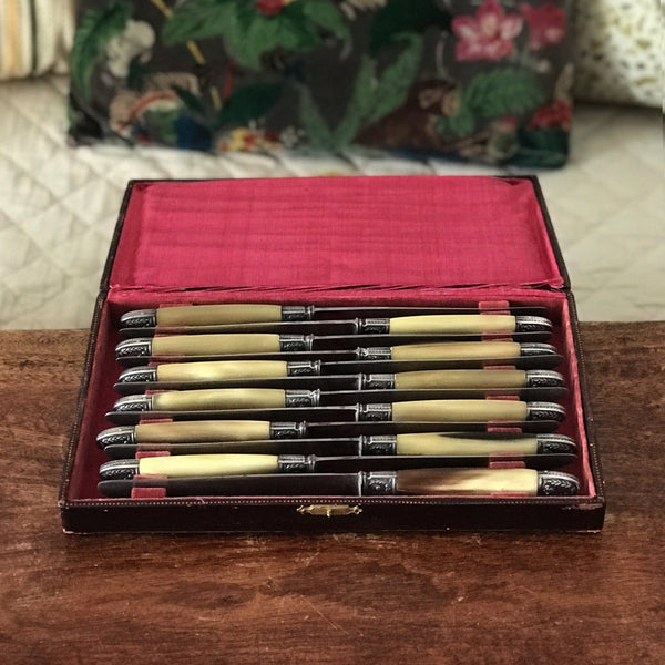 Coffret ménagère de 12 couteaux manche en corne, détails en métal argenté par Hello Broc brocante en ligne