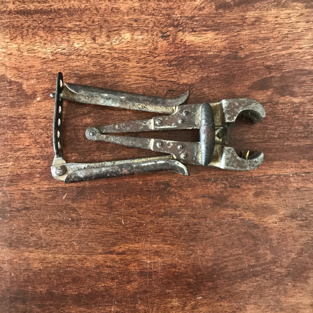 Ancienne pince à greffer Aliès - technique du greffage au bouchon par Hello Broc brocante en ligne