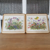 Ensemble de 6 sets de table Pimpernel The National Trust - Hello Broc