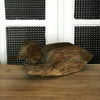 Grand canard de 40 cm en bois sculpté - Hello Broc
