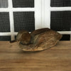 Grand canard de 40 cm en bois sculpté - Hello Broc