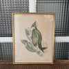 Illustration Chrysophlegma flavinucha (pic à nuque jaune) de Gould - Hello Broc